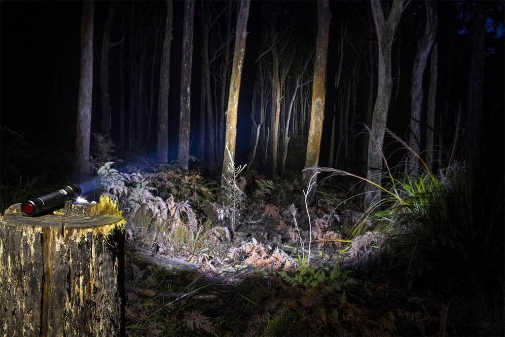 arb-pureview-800-flashlight-10500070__78144.webp