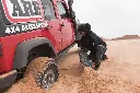 TREDPROBB 1.webp